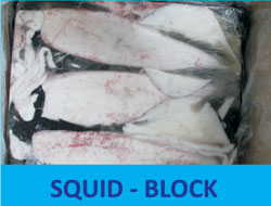 imageabout